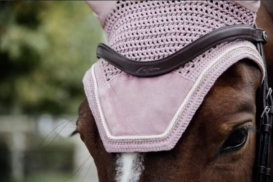 Kentucky Fly veil Wellington Velvet